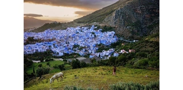 Steve McCurry